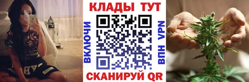 Где можно купить наркотики Новоалександровск Cocaine  Галлюциногенные грибы  Конопля  Меф  СК 