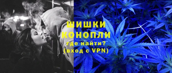 ГАЛЛЮЦИНОГЕННЫЕ ГРИБЫ Балабаново