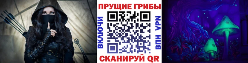 Псилоцибиновые грибы ЛСД  купить наркотик  Новоалександровск 